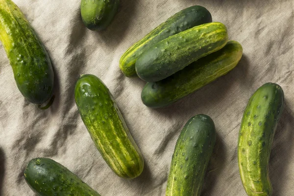 Rauwe Biologische Groene Komkommers Beitsen Klaar Eten — Stockfoto