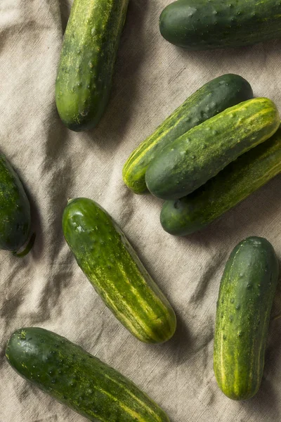Rauwe Biologische Groene Komkommers Beitsen Klaar Eten — Stockfoto
