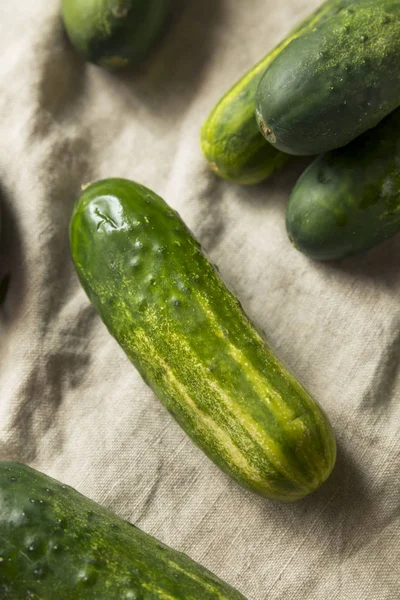 Pepinos Decapagem Verdes Orgânicos Crus Prontos Para Comer — Fotografia de Stock