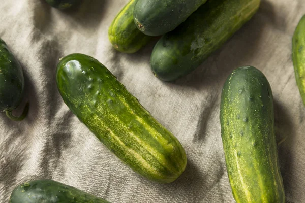 Raw Organic Green Pickling Cucumbers Ready to Eat — Stock Image Raw Organic Green Pickling Cucumbers Ready Eat Stock Picture