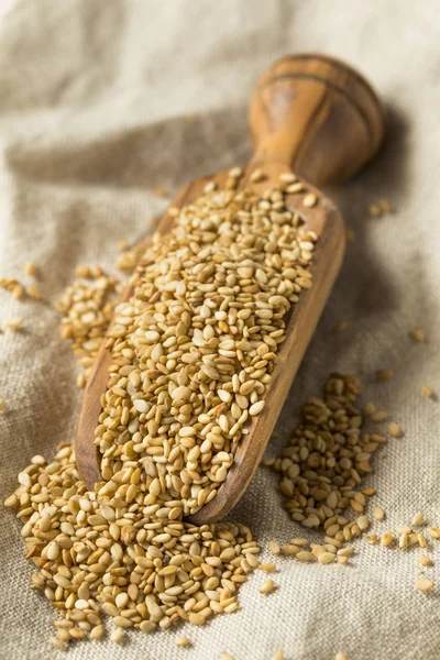 Organic Toasted Sesame Seeds Scoop — Stock Photo, Image