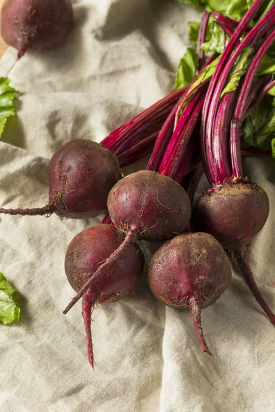 Radici Barbabietola Biologica Rossa Cruda Con Gambi — Foto Stock