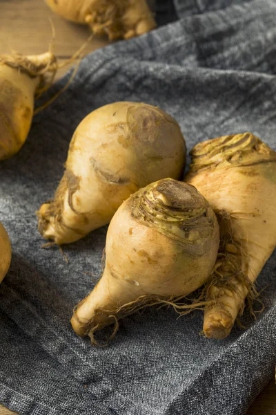 Healthy Raw Organic Brown Rutabaga Root Vegetables — Stock Photo, Image