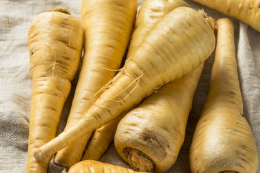 Ham organik kahverengi Parnsip kökleri hazır Cook için