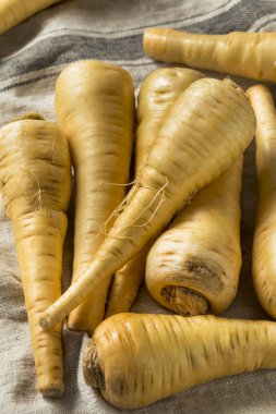 Ham organik kahverengi Parnsip kökleri hazır Cook için