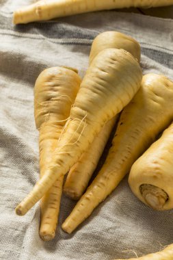 Ham organik kahverengi Parnsip kökleri hazır Cook için