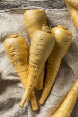 Ham organik kahverengi Parnsip kökleri hazır Cook için