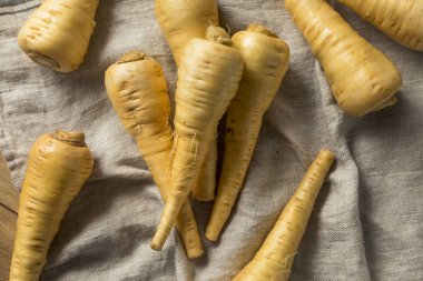 Ham organik kahverengi Parnsip kökleri hazır Cook için