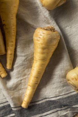 Ham organik kahverengi Parnsip kökleri hazır Cook için