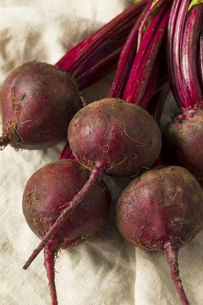 Radici Barbabietola Biologica Rossa Cruda Con Gambi — Foto Stock