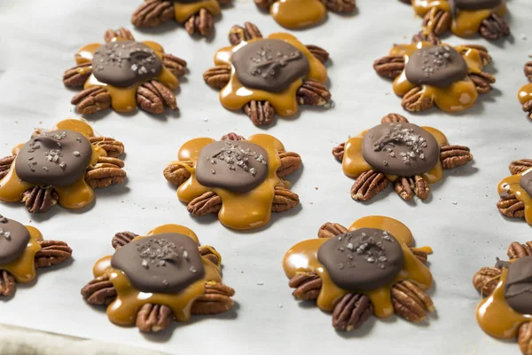 Homemade Sweet Chocolate Caramel Turtles Pecans — Stock Photo, Image