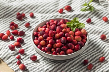 Aşçı ile çiğ kırmızı organik Cranberries hazır