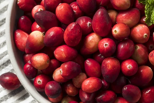 Aşçı Ile Çiğ Kırmızı Organik Cranberries Hazır — Stok fotoğraf