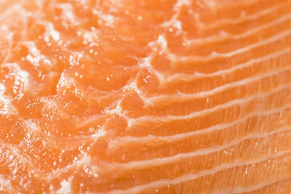 Filet Saumon Atlantique Biologique Cru Prêt Cuire — Photo