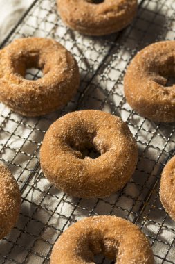 Ev yapımı elma elma şarabı Donuts tarçın şeker