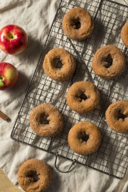 Ev yapımı elma elma şarabı Donuts tarçın şeker