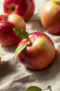 Ham organik kırmızı elma yemeye hazır