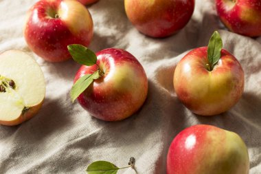 Ham organik kırmızı elma yemeye hazır