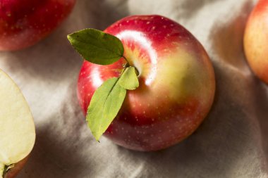 Ham organik kırmızı elma yemeye hazır