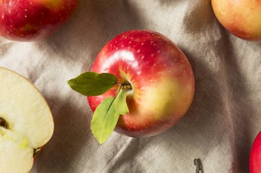 Ham organik kırmızı elma yemeye hazır