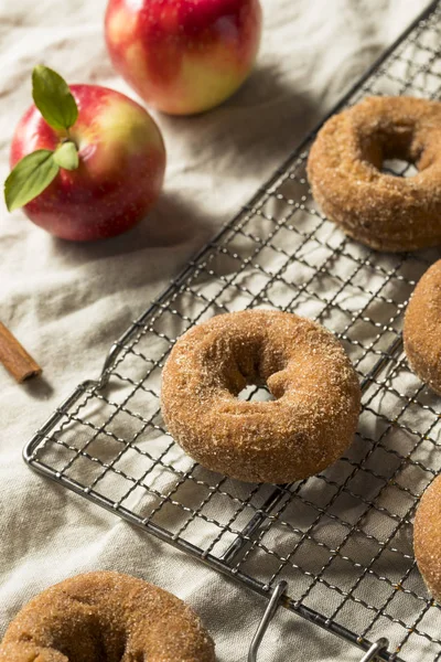 Donuts Caseros Sidra Manzana Con Azúcar Canela — Foto de Stock