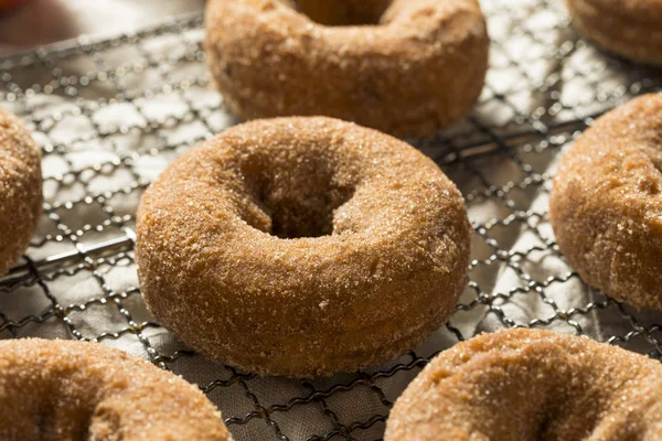 Hemmagjord Apple Cider Donuts Med Kanel Socker — Stockfoto