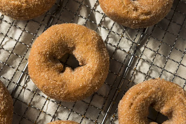 Donuts Caseros Sidra Manzana Con Azúcar Canela — Foto de Stock