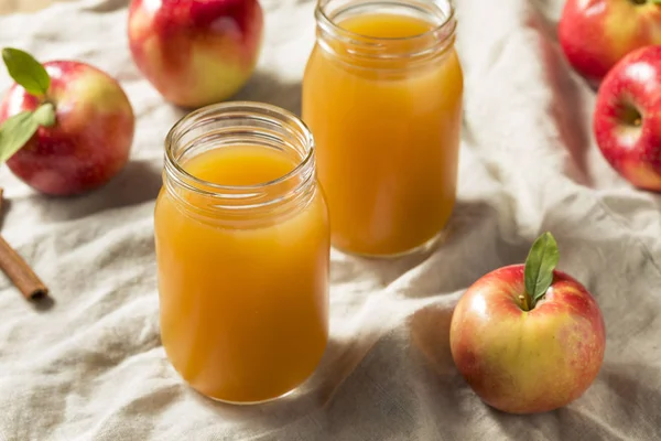 瓶に甘い冷たい秋アップル サイダー — ストック写真