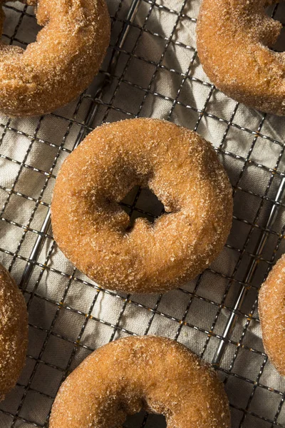 Donuts Caseros Sidra Manzana Con Azúcar Canela — Foto de Stock