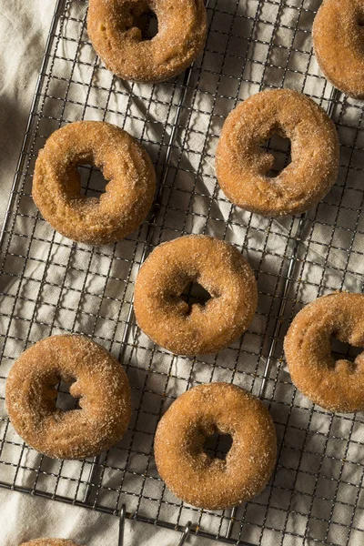 Donuts Caseros Sidra Manzana Con Azúcar Canela — Foto de Stock