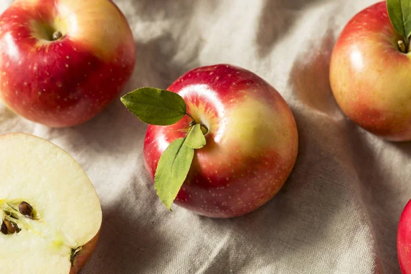 Manzanas Rojas Orgánicas Crudas Listas Para Comer — Foto de Stock