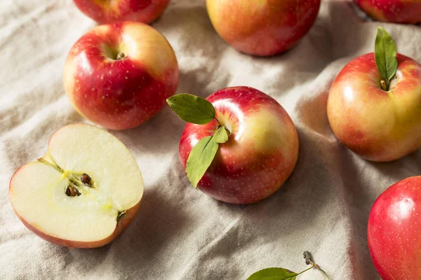 Manzanas Rojas Orgánicas Crudas Listas Para Comer — Foto de Stock