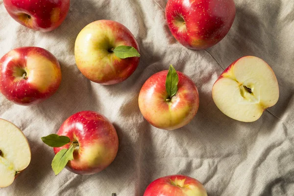 Manzanas Rojas Orgánicas Crudas Listas Para Comer — Foto de Stock