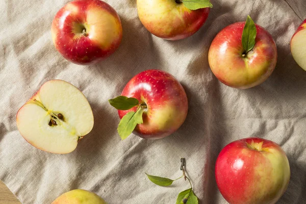 Сирі Органічні Червоні Яблука Готові Їсти — стокове фото