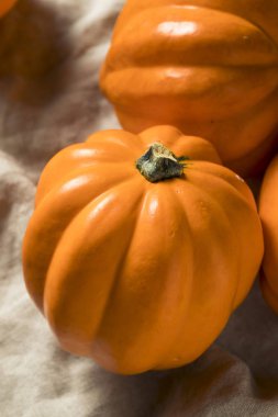 Ham organik altın meşe palamudu kabak hazır Cook için