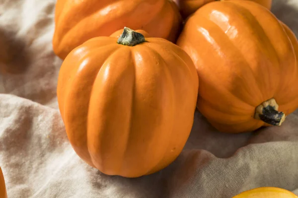 Raw Ekologiskt Gyllene Ekollon Squash Redo Att Cook — Stockfoto