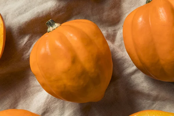 Raw Organic Golden Acorn Squash Ready Cook — Stock Photo, Image