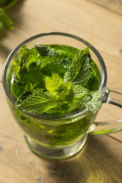 Fresco Caldo Fatto Casa Alla Menta Una Tazza — Foto Stock