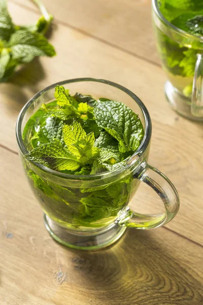 Thé Maison Menthe Fraîche Chaude Dans Une Tasse — Photo