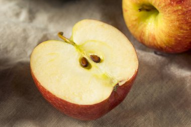 Çiğ kırmızı organik gıpta elma yemeye hazır
