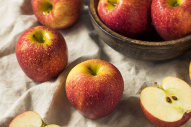 Çiğ kırmızı organik gıpta elma yemeye hazır