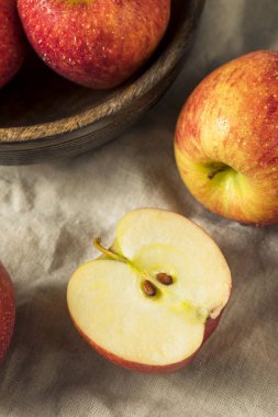 Çiğ kırmızı organik gıpta elma yemeye hazır
