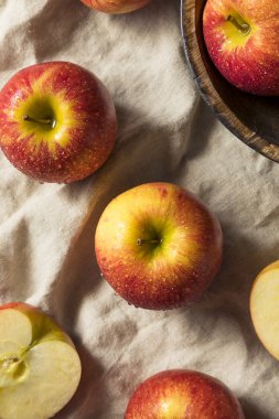 Çiğ kırmızı organik gıpta elma yemeye hazır
