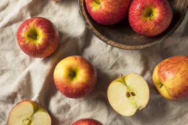 Çiğ kırmızı organik gıpta elma yemeye hazır