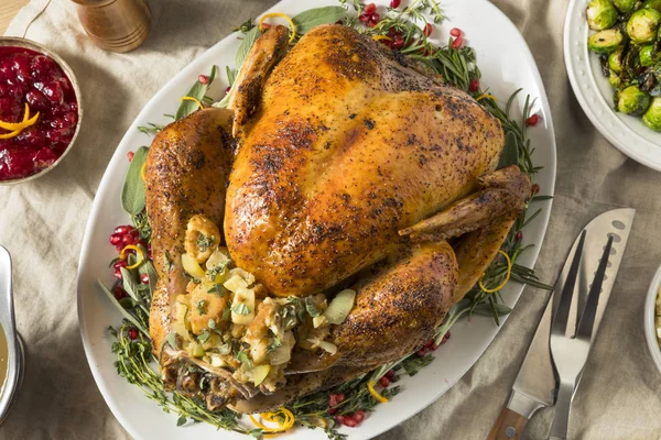 Hele Geroosterde Kalkoen Diner Voor Thanksgiving Met Alle Partijen — Stockfoto