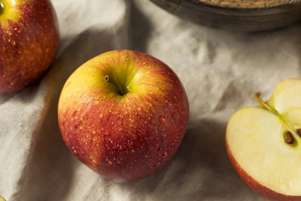 Rohe Rote Bio Neid Äpfel Zum Verzehr Bereit — Stockfoto