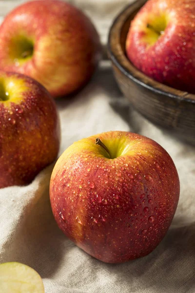 Raw Red Organic Envy Apples Ready Eat — Stock Photo, Image