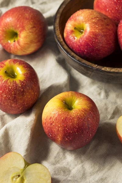 Raw Red Organic Envy Apples Ready Eat — Stock Photo, Image