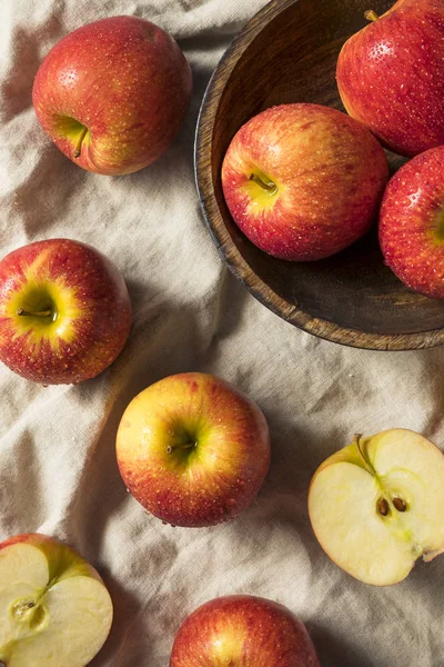 Manzanas Envidia Orgánica Roja Cruda Listas Para Comer — Foto de Stock