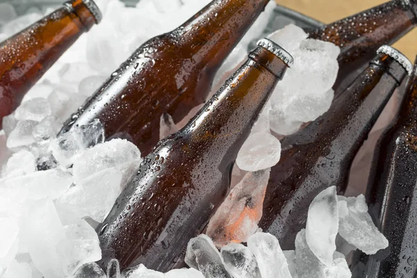 Bottiglie Birra Fredda Ghiacciata Dispositivo Raffreddamento Con Ghiaccio — Foto Stock